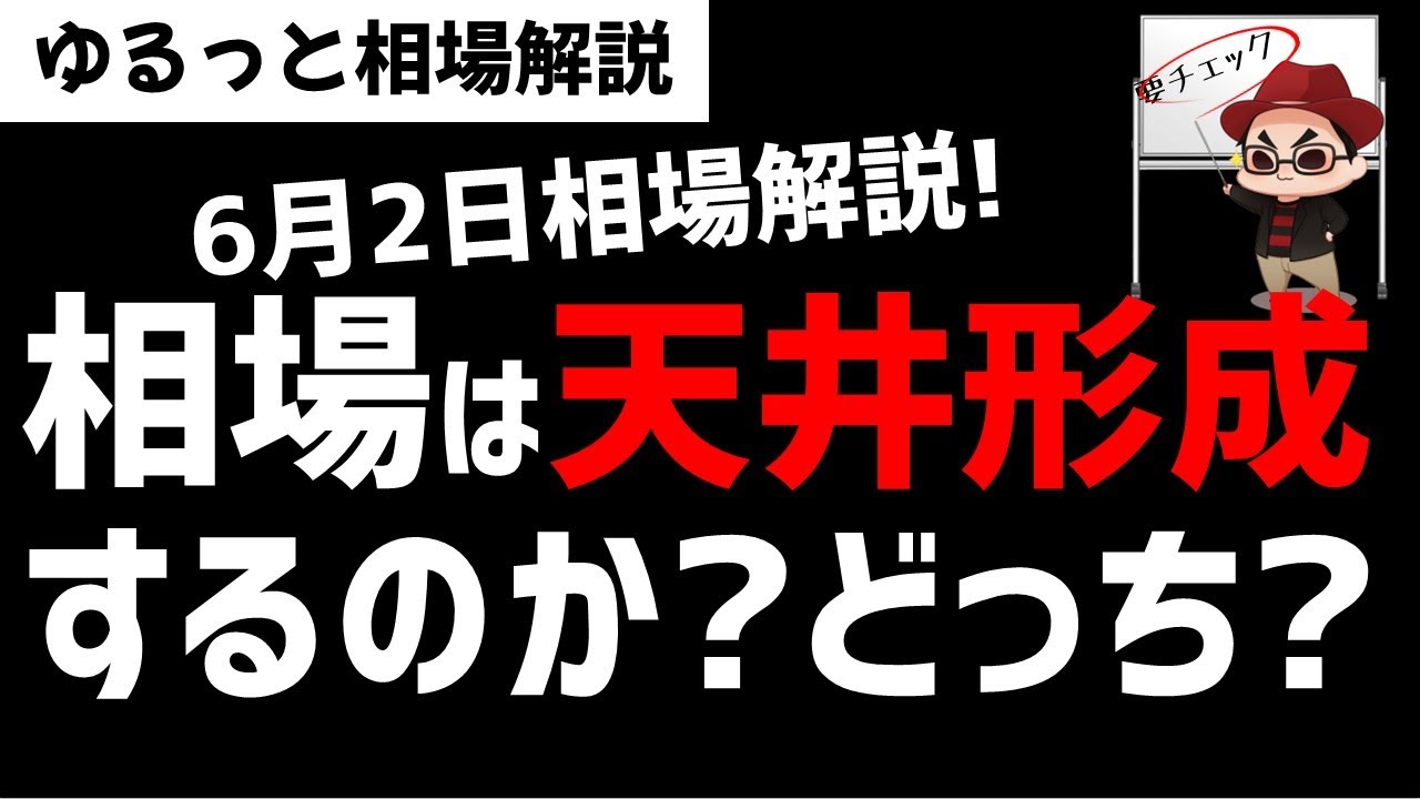 【6月2日のゆるっと相場解説】日本株相場は天井形成するのか？直近の株価の動きは？ズボラ株投資