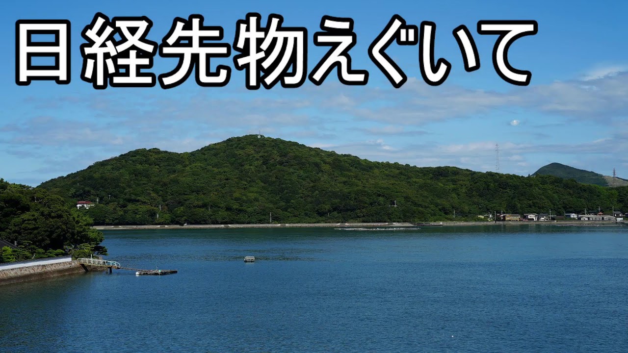 先物ばくあげしてる