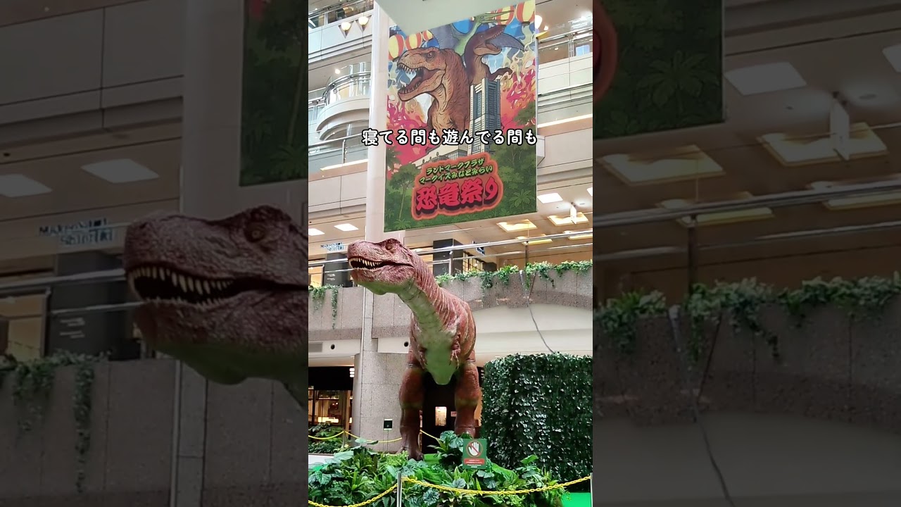 【かつをも実践】毎日のように自動で稼げるコツコツ投資！トラリピって知ってる？