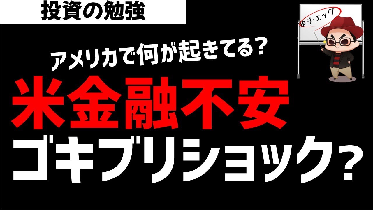 アメリカの金融市場不安に？ゴキブリショックが起きるのか？ズボラ株投資