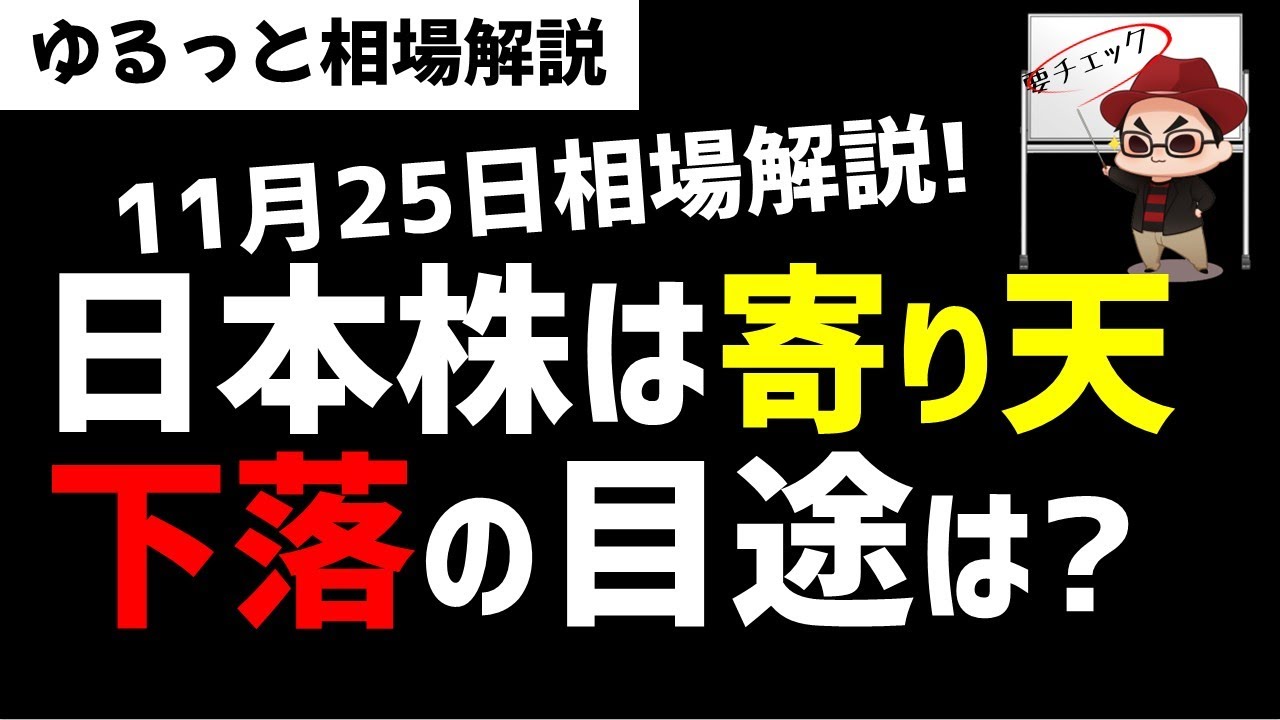 【11月25日のゆるっと相場解説】日本株は寄り天！米株より弱い？下落の目途は？ズボラ株投資